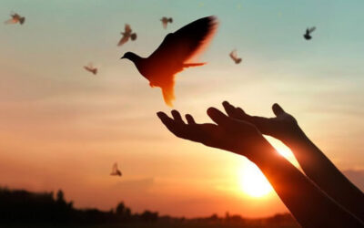 One life, one soul, one purpose