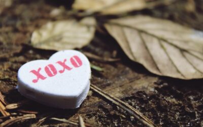 Humility Before Gratitude