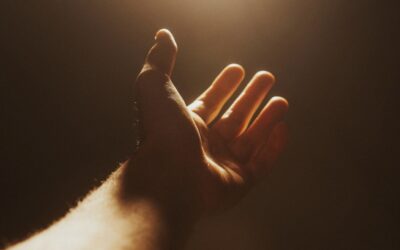 Give and Let Give